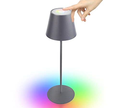 Outdoor Tischlampe Dimmbare Touch control mit Warmweiß 8 Farben RGB LED Akku Tischlampe wasserdicht für Ihr Haus und Garten Esstisch Schlafzimmer Arbeitszimmer Balkon Hotel ostern dekoration (Grau)