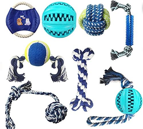 8 Stück Hundespielzeug Kauspielzeug, Zahnbürsten-Stick für Langeweile, langlebige Gummi Spaß interaktives Spielzeug für große und kleine Hunde, ungiftiges Naturkautschuk