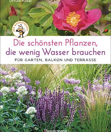 Die schönsten Pflanzen, die wenig Wasser brauchen für Garten, Balkon und Terrasse - 66 trockenheitsverträgliche Stauden, Sträucher, Gräser und Blumen, die heiße Sommer garantiert überleben