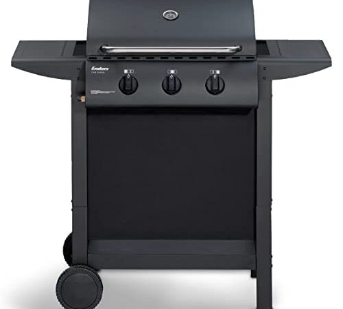Enders® Gasgrill SAN DIEGO 3, mit Grill-Thermometer, 3-Brenner aus Edelstahl, kleiner Grill, Edelstahl-Grill-Rost, Balkon-Grill, Camping-Grill, stabile Seitenablagen, leistungsstark, #81166