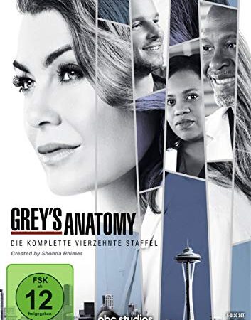 Grey's Anatomy: Die jungen Ärzte - Die komplette vierzehnte Staffel [6 DVDs]