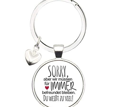 MeLifestyle Cabochon Schlüsselanhänger Sorry aber wir müssen für immer befreundet bleiben Du weißt zuviel Geschenk Freundin Freunschaft