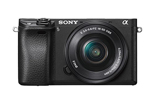 Bestes sony alpha 6000 im jahr 2024 [Basierend auf 50 Expertenbewertungen]