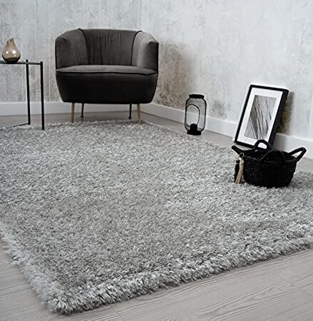 the carpet Willow Langflor, Hochflor Teppich, Wohnzimmer, Schlafzimmer, Modern, Weich, Matt, Einfarbig, Unifarben, Silber 160 x 230 cm