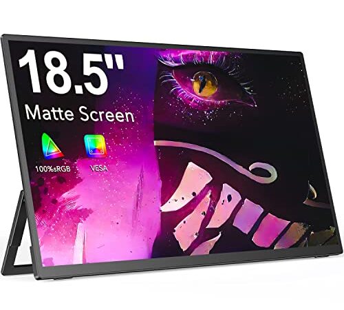 EVICIV 18,5 Zoll Portable Monitor, Tragbarer Monitor Full HD 1920 * 1080 IPS Mobiler Monitor mit Protective Case Mini HDMI Type-C für Laptop, PC, MAC, Phone, Xbox, PS4, VESA-kompatibel
