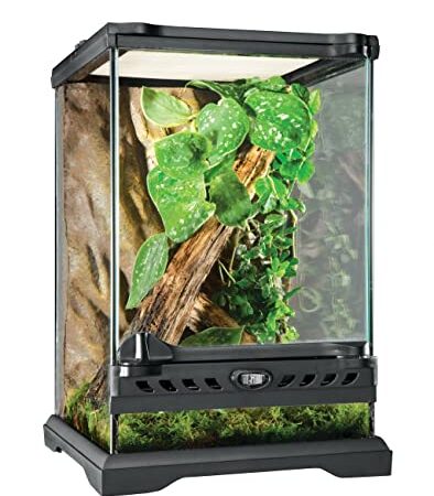 Exo Terra Terrarium aus Glas, mit einzigartiger Front Belüftung, 20 x 20 x 30cm