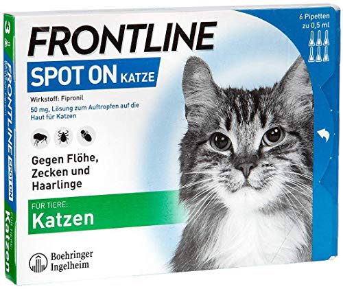 Bestes katze im jahr 2024 [Basierend auf 50 Expertenbewertungen]