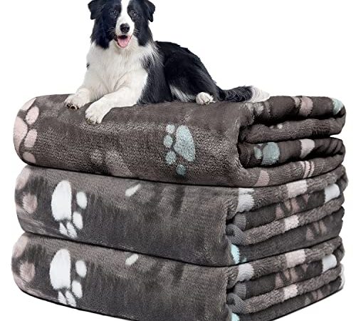 Hundedecke Sofa, waschbar Decke Für Sofa, Hundedecke Flauschig, Fleecedecke Hunde, 3 Pack Weiche Warme Haustier Decken, Mit niedlichem Knochen-Druck,Für eine Vielzahl von Haustieren,106 * 76CM