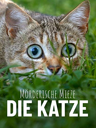 Bestes katzen im jahr 2024 [Basierend auf 50 Expertenbewertungen]