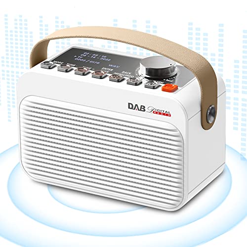 30 Bestes dab plus radio im jahr 2024 [Basierend auf 50 Expertenbewertungen]