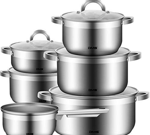 DMS 11-teiliges Topfset aus hochwertigem Edelstahl | Induktion | beschichtetes Kochset| Kochgeschirr | hochwertiges Küchenset | pflegeleicht | Stielkasserolle | Glas Deckel TSE2011C