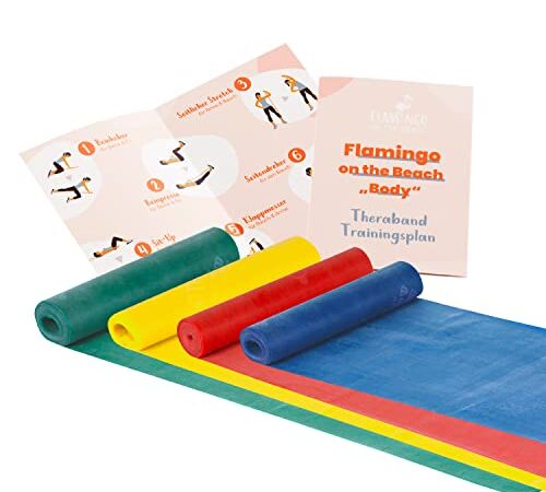 Original Thera-Band Set - 4 Gymnastikbänder für Fitnessübungen und Physiotherapie - inkl. Trainingsplan - 4er Set je 2,5m - Grün, Gelb, Rot, Blau - Flamingo ON The Beach