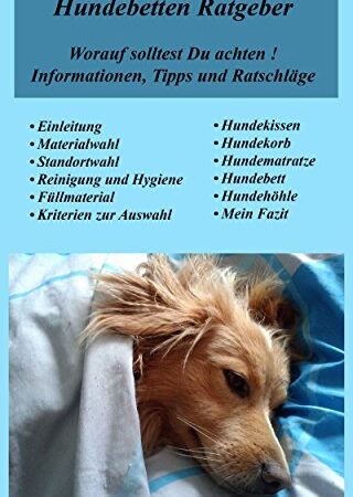 Hundebetten Ratgeber, worauf solltest Du achten! Informationen, Tipps und Ratschläge